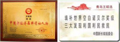 中国著名创新诺贝尔奖级王昭选  -- 三大发现给国家解了难分了优