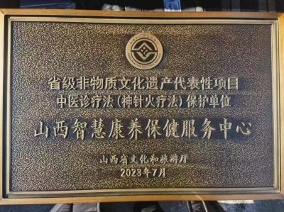 2025新春专题报道  神针火第十四代传人--高文义