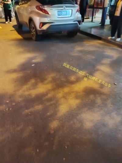 荆州市公安县斗湖堤镇凤凰花园公汽站牌点醉酒违章事件引关注 原著作者露丝之旅:黄永东！