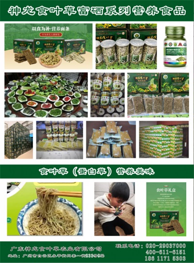 孔岩：以“三农”论述为引，拓富硒食叶草产业新途