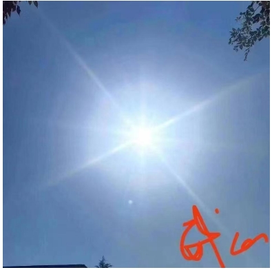 以道为骨，以龙为魂——探寻陈兆威的文化传承之路