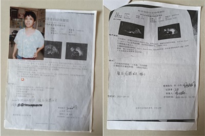 杨宗仙：  中医传承创新领路人，  为民治病写下传奇故事