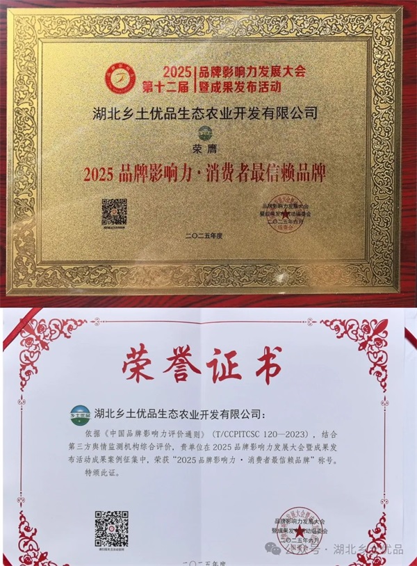 2025品牌影响力发展大会暨成果发布活动在北京举办 乡土优品公司荣膺多项成果奖项