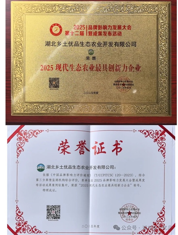2025品牌影响力发展大会暨成果发布活动在北京举办 乡土优品公司荣膺多项成果奖项