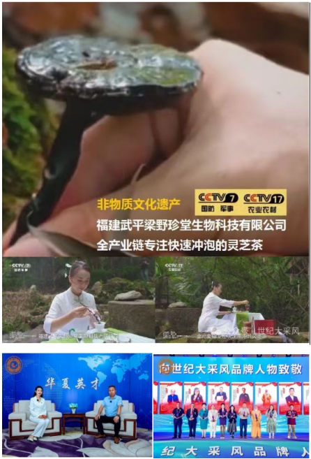 央视赋能大健康产业：林文辉荣膺在线直播网特聘客座教授