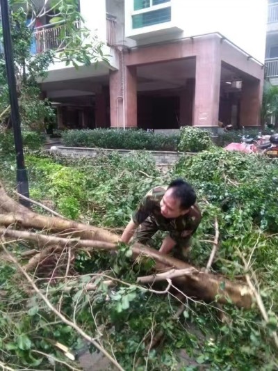 真情服务守初心 物业耕耘铸华章——访市企联会员、泉州胜利之兴物业发展有限公司总经理吴胜利