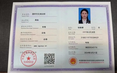 张敏娜：以传统文化之姿，向党的诞辰献礼