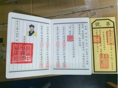 人民网特别报道： 献礼建党104周年易学名家——程新宏