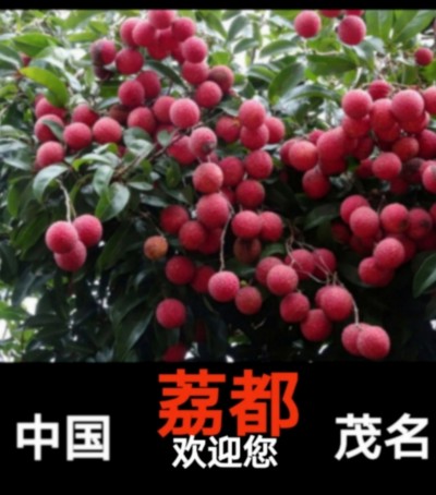 《孙子兵法》有云，“百战百胜，非善之善者也，不战而屈人之兵，善之善者也”