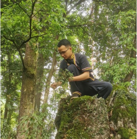 苗山药香千年承：90后苗医江冠礼的守正与传承