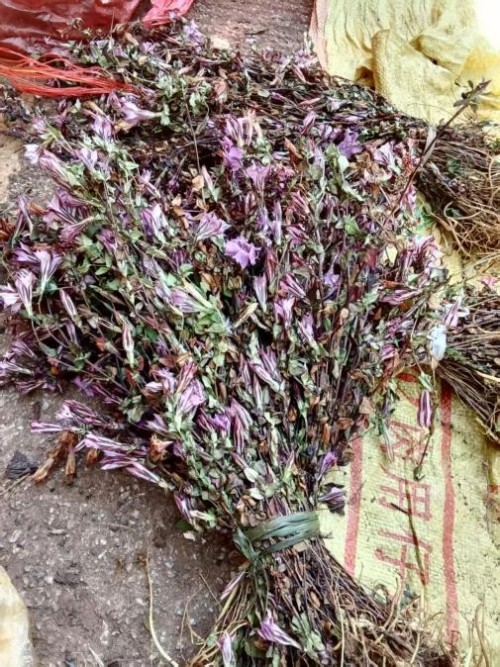 仁心仁术五十载，大医精诚暖滇南——记云南民间中医王世文