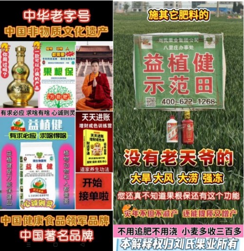 金马迎春·大国农匠：刘福信——以科技为犁守护土壤，用初心赋能乡村振兴