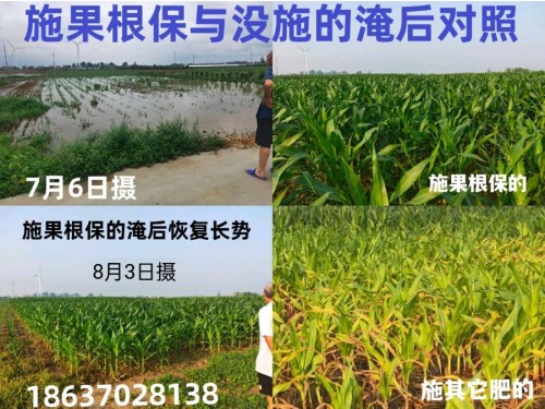 金马迎春·大国农匠：刘福信——以科技为犁守护土壤，用初心赋能乡村振兴