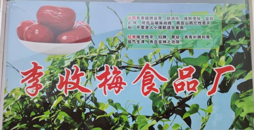 金马迎春启新程，食疗匠心护脾胃——李收梅新春送安康