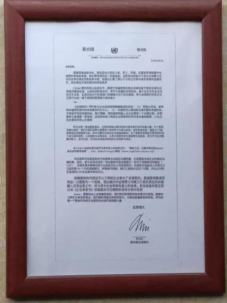 喜迎2026全国两会：杨宗仙——传承岐黄薪火 谱写中医药创新华章