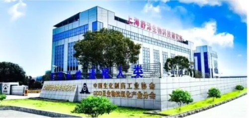 中国科学家从演化视角揭示青少年抑郁症流行的三重失配根源