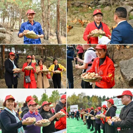 喜迎两会特别报道 生态养殖赋能乡村振兴：湖北乡土优品的“土鸡”突围之路